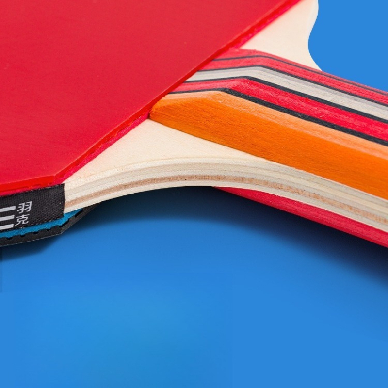 Yeni Başlayanlar İçin Profesyo - Table Tennis Backhand incelemesi ve fiyatı